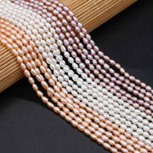 Natural Freshwater Pearl Mini Rice Small Pearls Beads for DIY Jewelry Making Necklace Bracelet 36cm/strand Bead 2024 - buy cheap