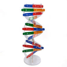 1 Набор DNA Double Helix Science популяризация Обучающие модели Обучающие инструменты раннее образование игрушки гены человека для детей тест-комплект 2024 - купить недорого