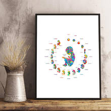 Gravidez feto desenvolvimento abstrato arte posters impressão embrião biologia arte médica aquarela pintura em tela obstetra presentes 2024 - compre barato