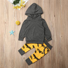 Newborn Baby Boys Clothing 2019 Autumn Winter Tracksuits For Boys Outfits Gray Bat Hooded Sweatshirt Tops Pant Baby Boys Clothes 2024 - buy cheap