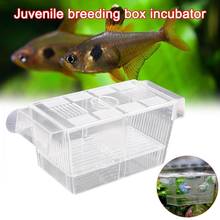 Acrylic Aquarium Tank Incubator Multi-purpose Juvenile Breeding Box Isolation Box Aquarium Fish Breeding Box Pet Fish Tank 2024 - buy cheap