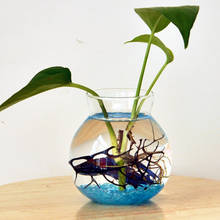 Clear Glass Round Flower Planter Vase Terrarium Container Fish Tank Table Decor 2024 - buy cheap