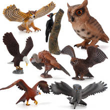 Simulation Wild Animal Bird Model Toy Action Figures Educational Toy Simulation Owl Woodpecker For Children Kid Toy Figure Gifts 2024 - купить недорого