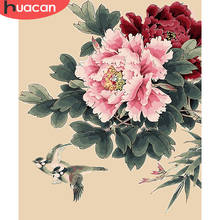 HUACAN Pictures By Numbers Peony Flowers HandPainted Coloring Drawing Kits Canvas Oil Painting DIY Home Decoration Gift SZHC712 2024 - buy cheap