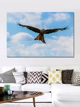 Peregrine Falcon sobre el cielo azul, depredador de tela de ave, posters, imagen de pared, arte para el hogar, decoración de sala de estar, KC139 2024 - compra barato