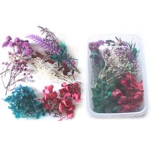 1 Box Real Mix Dried Flowers for Resin Jewellery Dry Plants Pressed Flower 63HE 2024 - buy cheap