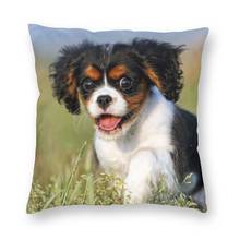 Capa de almofada organizadora king charles spaniel, capa de almofada quadrada 40x40 para sala de estar, cachorro 2024 - compre barato