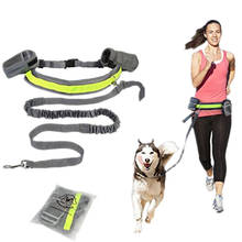 Mão livre elastic puppy cão trela ajustável acolchoado cintura reflexiva corrida andando pet lead belt com bolsa sacos 2024 - compre barato