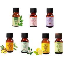 10ML Pure  Essential Oils Massage Humidifier Wormwood Lavender Ginger Lemon Jasmine Tea TreeOil Essential Body Scraping Oil 2024 - buy cheap