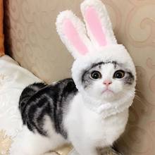 New Fashion Pet Supplies Mini Rabbit Ears Pet Cats Hat Dogs Caps Lovely Style Cross-dressing Cap for Pet Cute Accessories 2024 - buy cheap