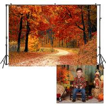 Huayi foto fundo dia de páscoa fotografia backdrops recém-nascidos bebê criança estúdio coelho da páscoa primavera férias pano de fundo W-3874 2024 - compre barato