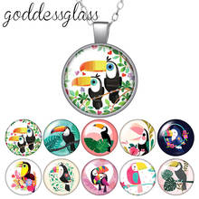 Largirostrornis Birds Toucans Round Glass glass cabochon silver plated/Crystal pendant necklace jewelry for Gift 2024 - buy cheap