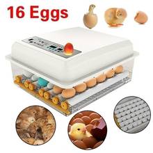 Incubadora de 16 huevos de codorniz, herramientas de incubación de aves de corral, girador automático 2024 - compra barato