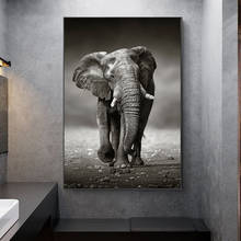 RELIABLI ART Elephant Posters Wall Painting For Living Room Home Decor Black And White Animal Canvas Pictures Prints NO FRAME 2024 - buy cheap