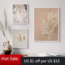 Pintura en lienzo de paisaje natural de plantas de Pampas, impresiones de hierba seca, imágenes artísticas bohemias modernas para pared, póster, decoración de habitación 2024 - compra barato