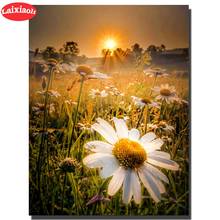 FULL Mosaic white daisy Pattern 5D DIY Diamond art Embroidery home decoration sunset landscape diamond painting cross stitch 2024 - buy cheap