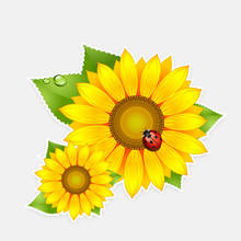 Sunflower Flower Color High-quality PVC Car Decoration Sticker Waterproof Sunscreen Cover Scratches, 14cm*12cm 2024 - buy cheap