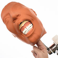 Dental Simulator Nissin Manikin Phantom Head Dental Phantom Head Model With New Style Bench Mount For Dentist Education 2024 - buy cheap