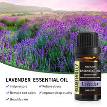 10ml Lavender Essential Oil Relieve Stress for Humidifier Fragrance Lamp Air Freshening Aromatherapy Water-soluble Flower Oil 2024 - buy cheap