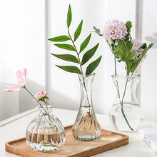 Гидропонная креативная стеклянная ваза Daffodil растительный гидропонный контейнер ваза зеленый редис Прозрачный цветочный горшок гиацинтовая бутылка 2024 - купить недорого