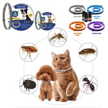 Pet Collar Anti Flea Ticks Dog Cat Waterproof Mosquitoes Outdoor Adjustable Flea Pet Collar Dog Accessories 8 Months Protection 2024 - buy cheap