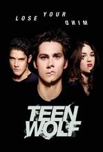 Lot style Choose Teen Wolf Movie Art print Silk poster Home Wall Decor 2024 - buy cheap