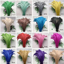 Wholesale Chicken feather 25-30CM Natural Rooster tail Feathers For Decoration Craft Feather Christma Diy Feather 2024 - buy cheap