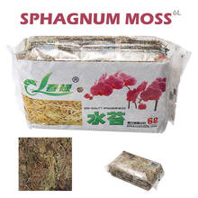 Fertilizante orgánico hidratante de musgo Sphagnum, 6L, para orquídeas, Phalaenopsi 2024 - compra barato