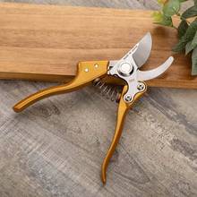 RDDSPON Gardening Pruning Shears Cut Branches of  Fruit Trees Flowers Branches and Scissors Gold Hand Tools 2024 - buy cheap