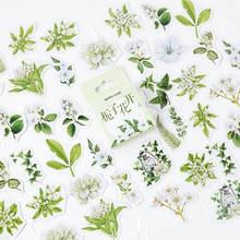 20 caixa gardenia flores kawaii planta papelaria scrapbook etiqueta adesivo diário álbum brinquedo encaixotado adesivo atacado 2024 - compre barato