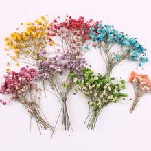 12Pcs Decorative Dried Flowers Nature Flower Artificial Flower Bouquet Branch DIY Dry Flowers For Gifts Scrapbooking 2024 - buy cheap