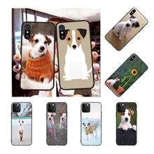 Penghuwan-capa para celular com estampa de cachorro, capinha de celular macia para iphone 11 pro, xs max, 8, 7, 6, 6s, plus, x, se, xr 2024 - compre barato