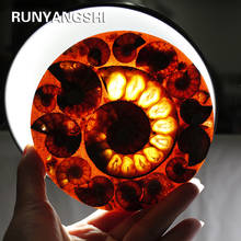 Runyangshi 10-12cm Natural Ammonite Disc Fossil Conch Specimen Healing +Stand 1pcs 2024 - buy cheap