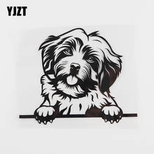 YJZT-calcomanía de mirilla de perro havanés divertido, vinilo adhesivo para coche, negro/plata, 8A-0107, 15,1 cm x 12,4 cm 2024 - compra barato