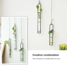 Creative Wrought Iron Glass Vase Hemp Rope Pendant Living Room Wall Hanging Hydroponic Green Dill Plant Container Decoration 2024 - buy cheap