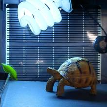 UVB Pet Reptile Lamp E27 5.0 10.0 13W Ultraviolet Light Bulb Night Lamps Heating For Tortoise Amphibians Turtles Lizards & Snake 2024 - buy cheap