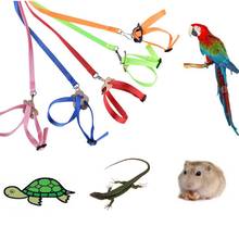 Arnés de Collar de loro y Pájaro de colores, cuerda de tracción ajustable para hámster, Tortuga, lagarto, Collar en forma de 8, correa para mascotas 2024 - compra barato