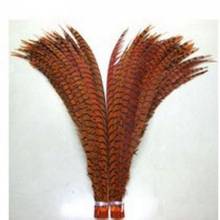 Free Shipping 50PCS Orange Dyed Pheasant Tails Feather 80-90CM 30-35" Natural Pheasant Zebra Plumages For Carnival Decorations 2024 - buy cheap