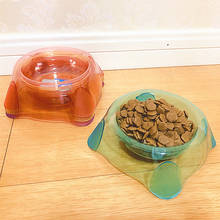 Pet Food Bowl Transparent Dog Feeding Bowl Pet Feeding Cat Water Bowl Cats Food Pet Bowls For Dogs Feeder Product Supplies 2024 - buy cheap
