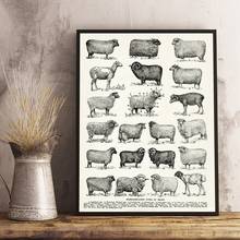 Home Decor Canvas Printed Painting Breeds of Sheep Wall Art Vintage Poster Modular Modern Nordic Style Pictures For Living Room 2024 - buy cheap