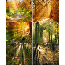 AZQSD DIY 40x50cm Coloring By Numbers Autumn Landscape Home Bedroom Wall Artwork Painting By Numbers Forest Handpainted Gift 2024 - buy cheap