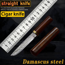Новый маленький прямой нож из дамасской стали, креативный нож для сигар, карманный острый Открытый нож для выживания в дикой природе, спасательный нож для писем, для повседневного использования 2024 - купить недорого