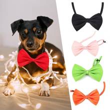 2Pcs Solid Color Pet Dog Cat Necklace Strap Adjustable Cat Collar Dogs Accessories pet dog bow tie puppy bow ties Pet supplies 2024 - buy cheap