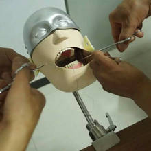 Manequins e modelos de cabeça de aço inoxidável modelo nissin dental cabeça fantasma demonstração ensino dental 2024 - compre barato