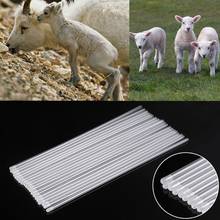 20Pcs Pet Canine Dog Goat Sheep Artificial Insemination Breed Whelp Catheter Rod E15B 2024 - buy cheap