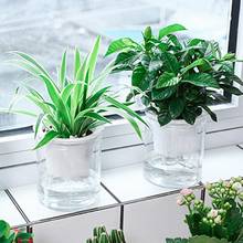 Vaso de flores hidropônico, automático, absorção de água, transparente para suculentas para uso em viagem 2024 - compre barato