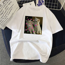 Mulheres senhora dos desenhos animados gato vida animal de estimação bonito tendência moda impressão tshirt cães camisa roupas topo gráfico feminino t camiseta das mulheres 2024 - compre barato