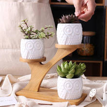 1 Set Simple White Succulent Plant Flower Pot Holder Ceramic Owl Pattern Pot Treetop Shaped Bamboo Shelf Pot Planter Set 2024 - buy cheap