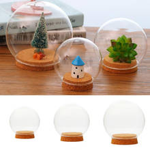 Bola de vidro soprado à mão, redonda, em forma de ovo, terrário bolha, miniatura, micro paisagem, moderna, tampa de vaso 2024 - compre barato