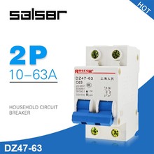 DZ47-63 1-63A 230/400V 2P Mini Circuit Breaker Household Air Manual transfer Power Switch C45 Type 2024 - buy cheap